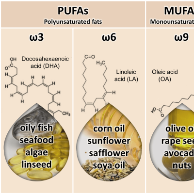 तुमच्या तेलातील फॅट: मित्र की शत्रू? धक्कादायक सत्य जाणून घ्या!
